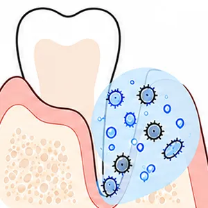 バイオフィルム内部まで殺菌する図解
